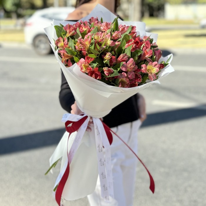 Букет из 25 красных альстромерий