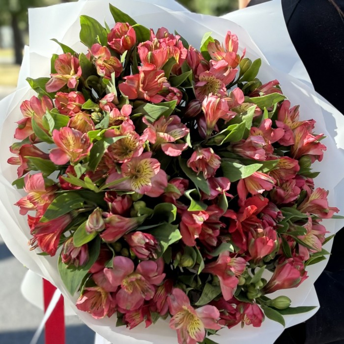 Букет из 25 красных альстромерий