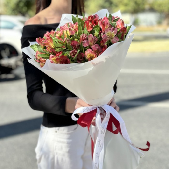 Букет из 25 красных альстромерий