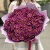 Букет из 25 малиновых хризантем Сантини