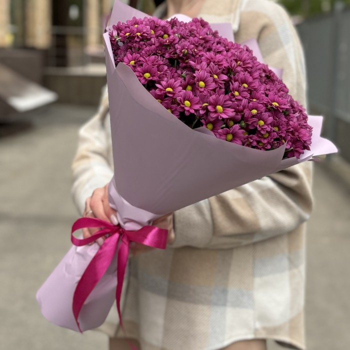 Букет из 25 малиновых хризантем Сантини