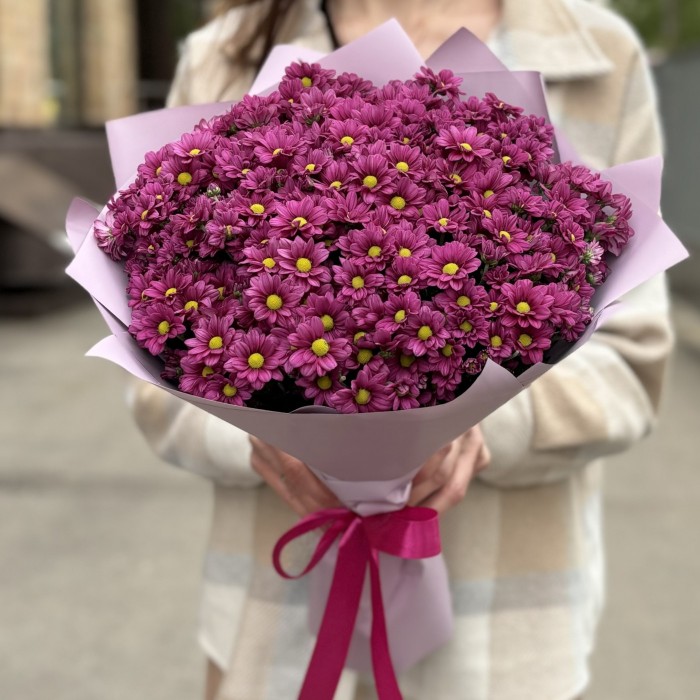 Букет из 25 малиновых хризантем Сантини