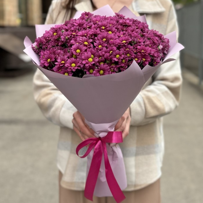 Букет из 25 малиновых хризантем Сантини