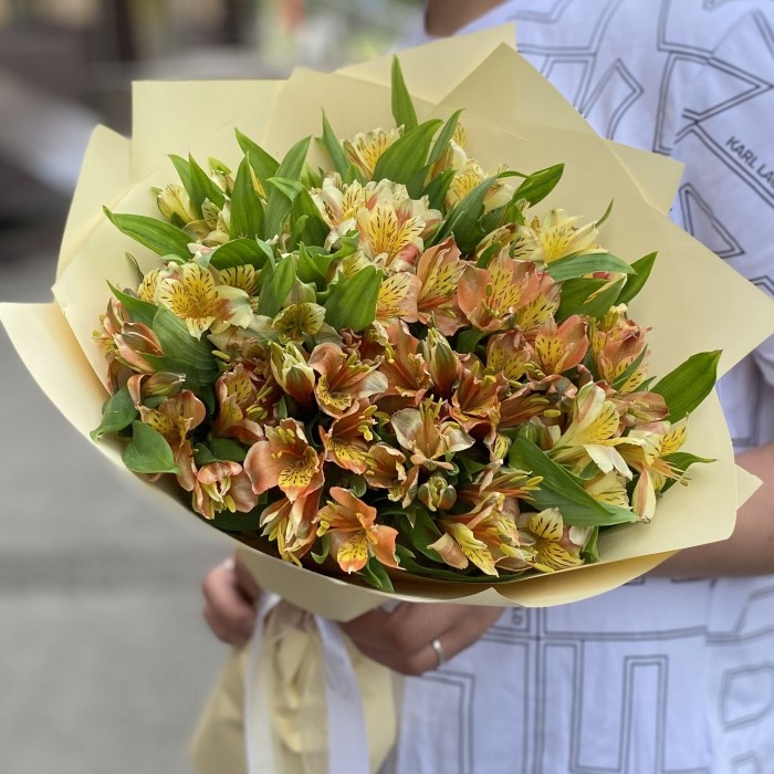 Букет из 25 оранжевых альстромерий