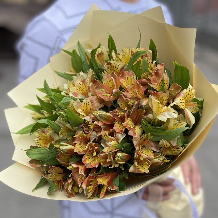 Букет из 25 оранжевых альстромерий