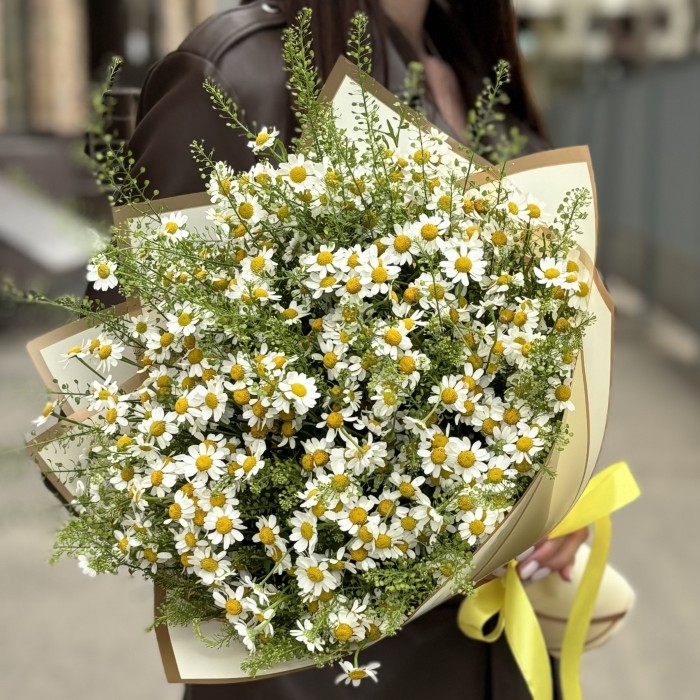 Букет из 21 ромашки с гринбелом