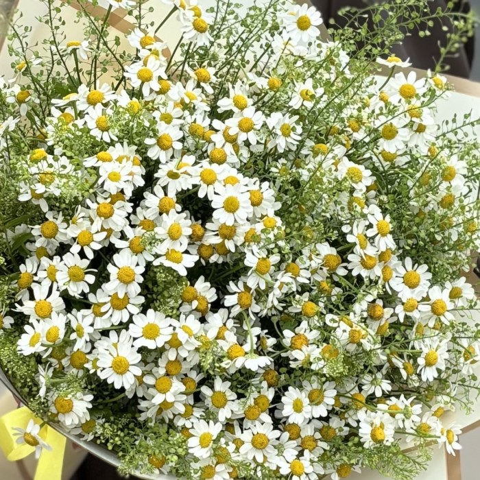 Букет из 21 ромашки с гринбелом