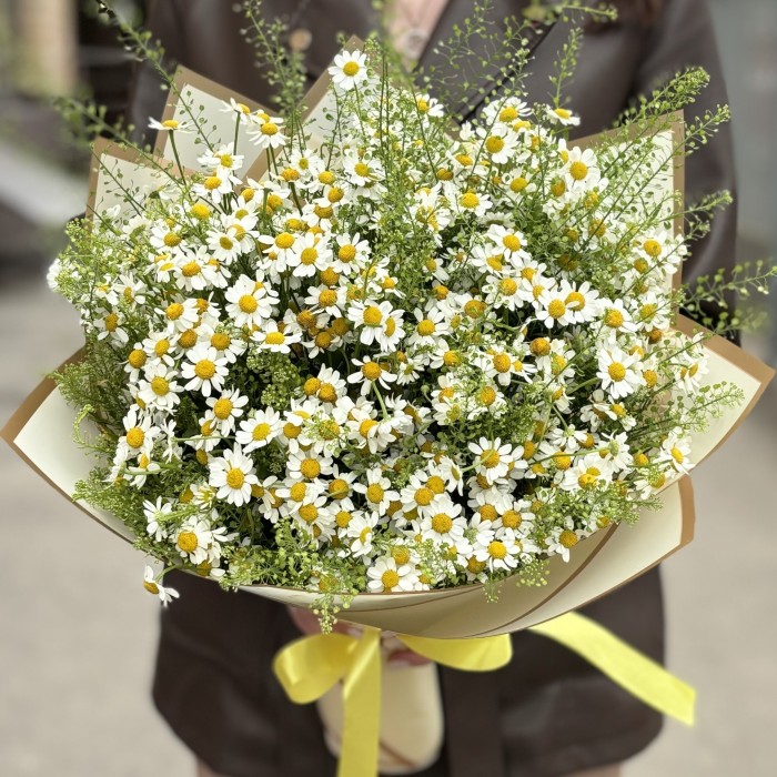 Букет из 21 ромашки с гринбелом
