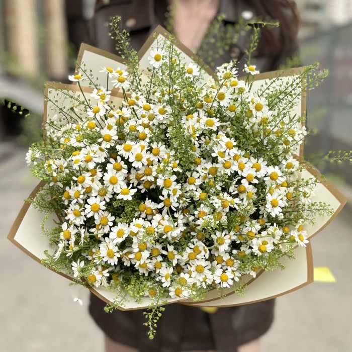 Букет из 21 ромашки с гринбелом