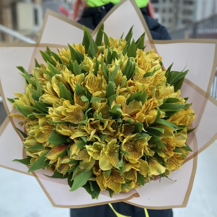 Букет из 25 желтых альстромерий