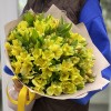 Букет из 27 желтых альстромерий