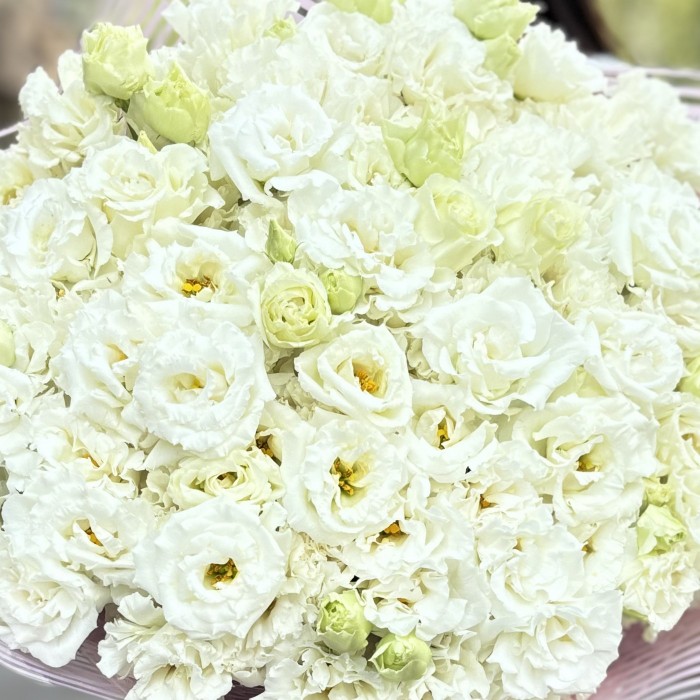 Букет из 35 махровых белых эустом