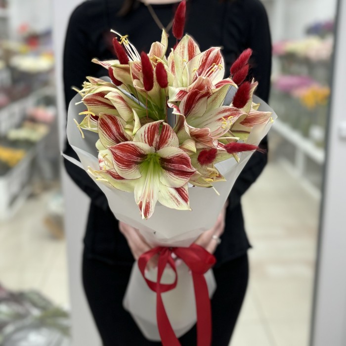 Букет из 3 амариллисов бело-красного цвета с лагурусом