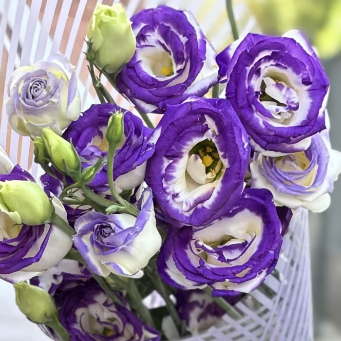 Букет из 3 бело-фиолетовых эустом