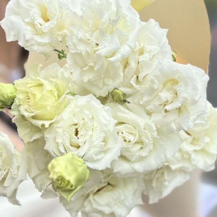 Букет из 3 белых махровых эустом