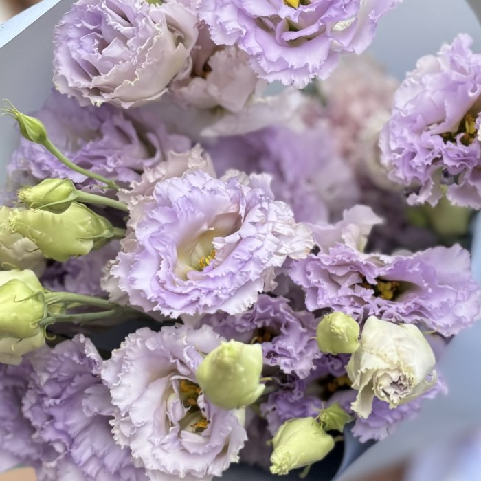 Букет из 3 лавандовых махровых эустом