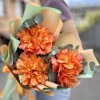 Букет из 3 пышных роз Фри Спирит с эвкалиптом 50 см