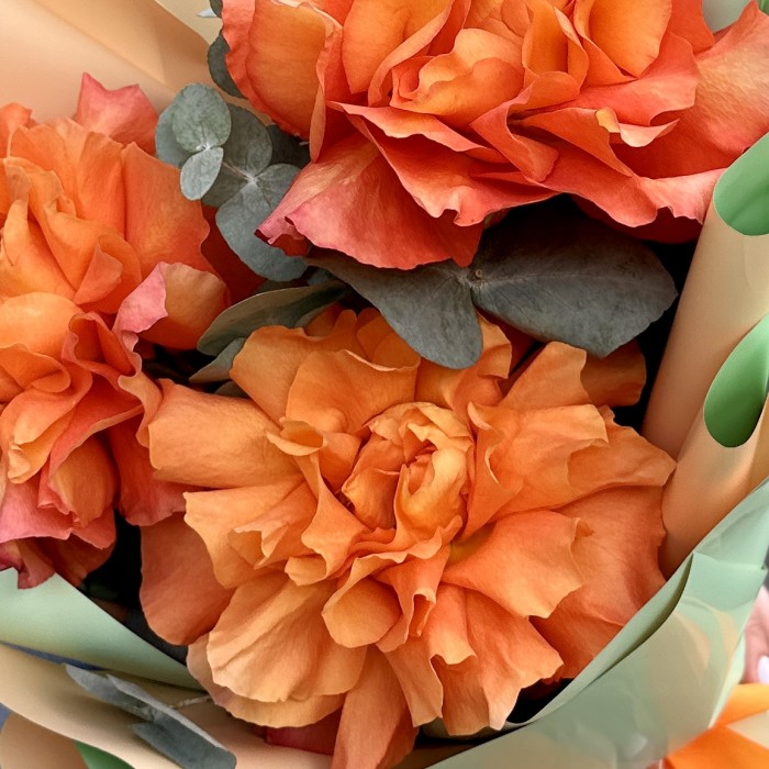 Букет из 3 пышных роз Фри Спирит с эвкалиптом