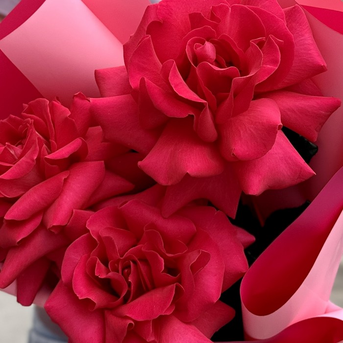 Букет из 3 пышных роз Пинк Флойд