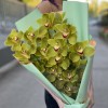 Букет из 3 веток зеленых орхидей Цимбидиум