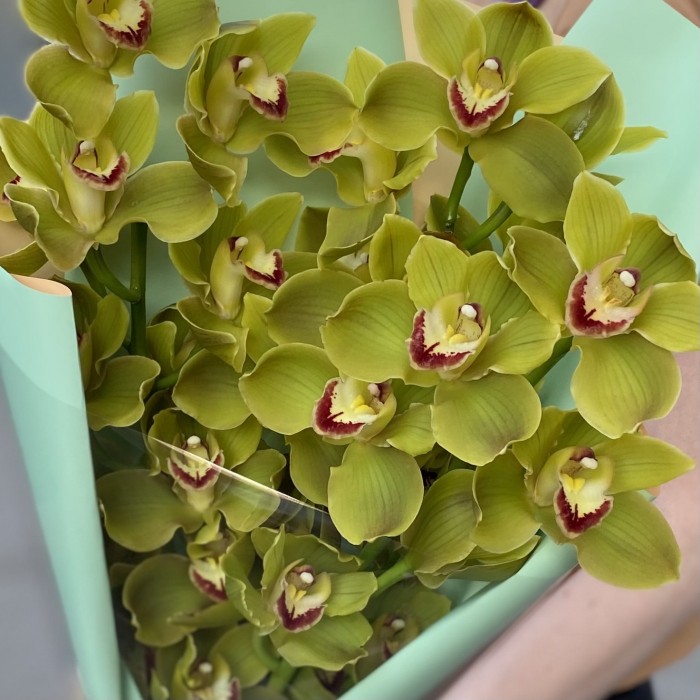 Букет из 3 веток зеленых орхидей Цимбидиум