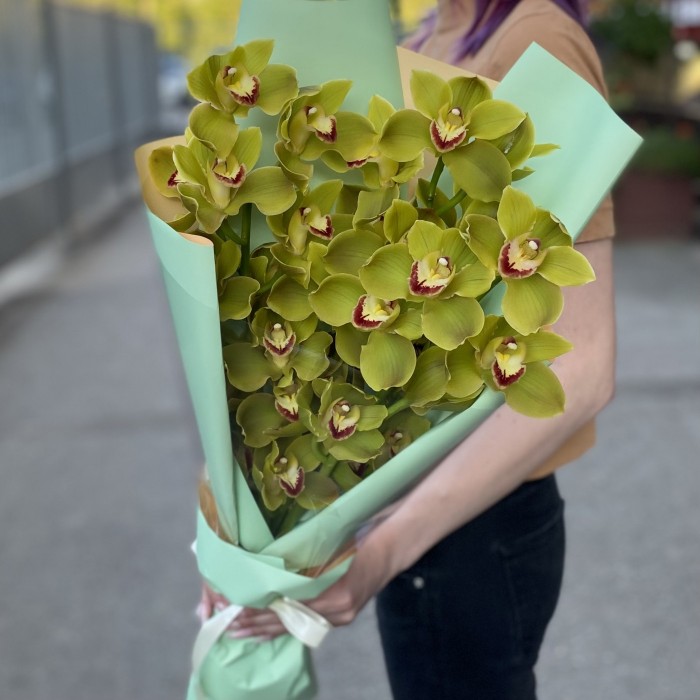 Букет из 3 веток зеленых орхидей Цимбидиум