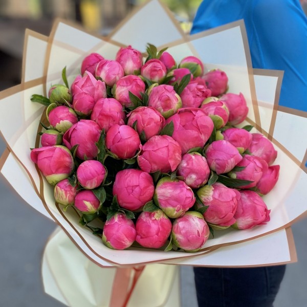 Букет из 41 кораллового пиона