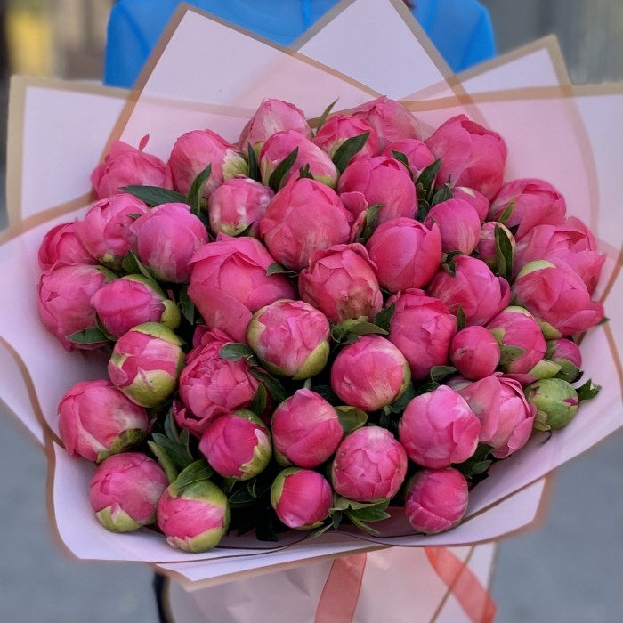Букет из 45 коралловых пионов