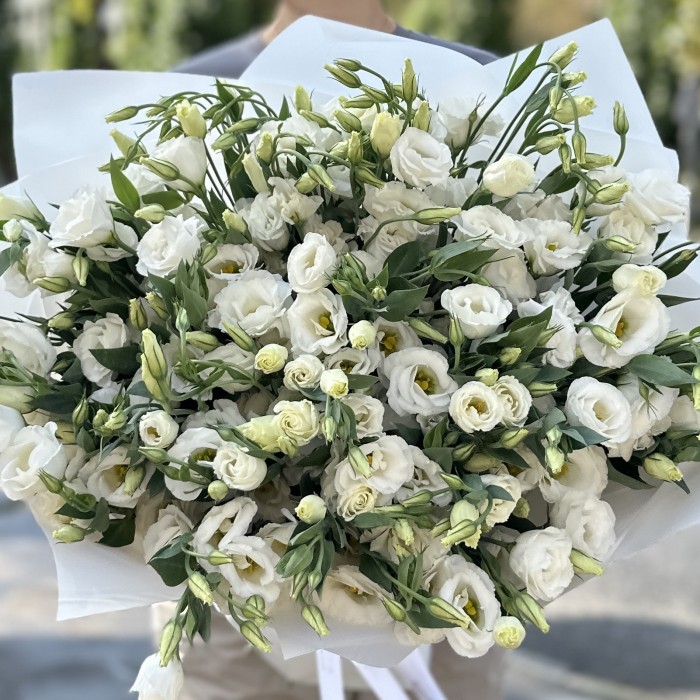 Букет из 51 белой эустомы
