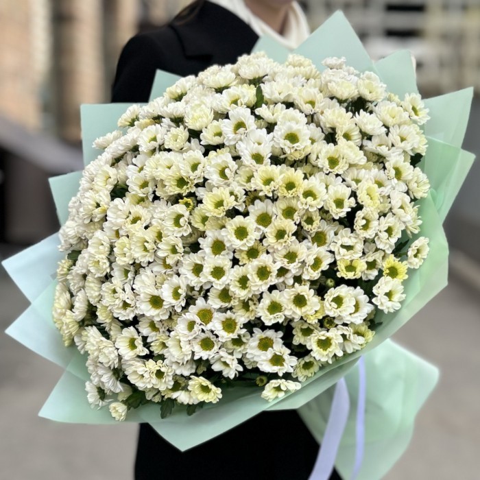 Букет из 51 белой хризантемы Сантини