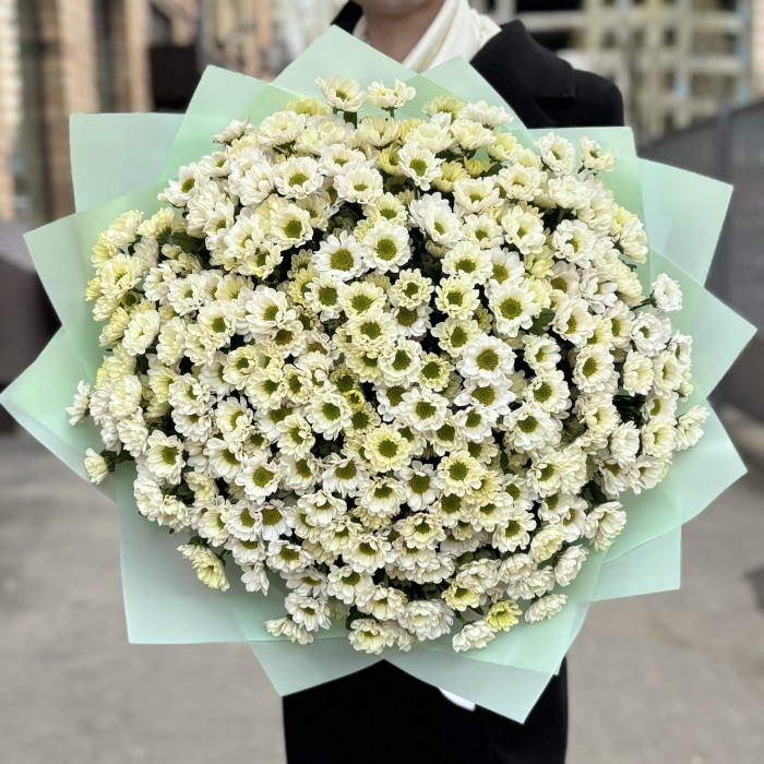 Букет из 51 белой хризантемы Сантини
