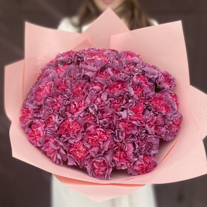 Букет из 51 гвоздики сорта Гипноз