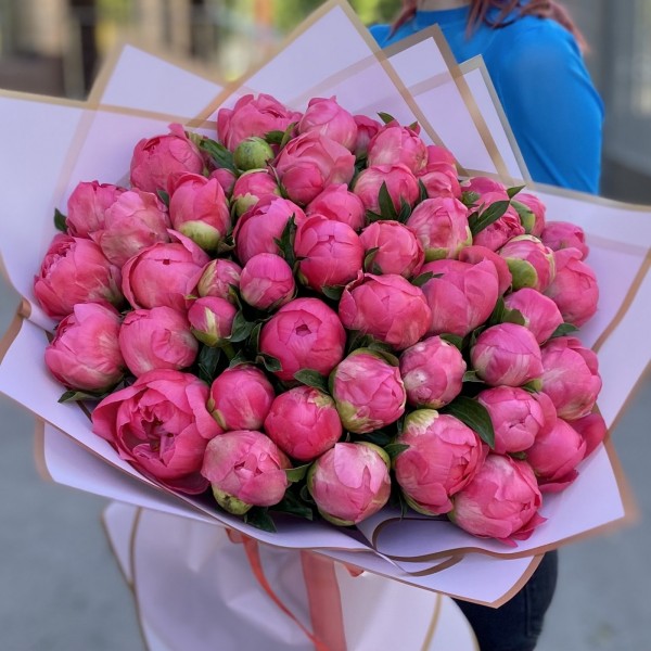 Букет из 51 кораллового пиона
