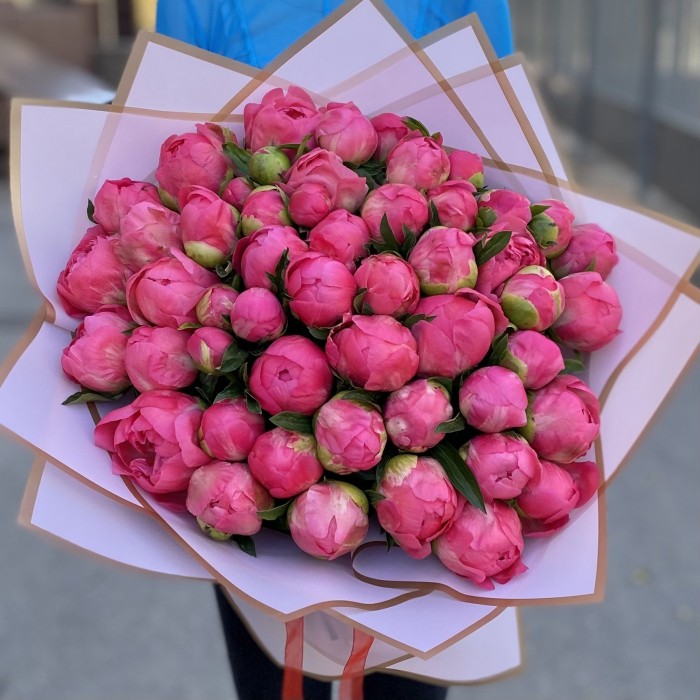 Букет из 51 кораллового пиона