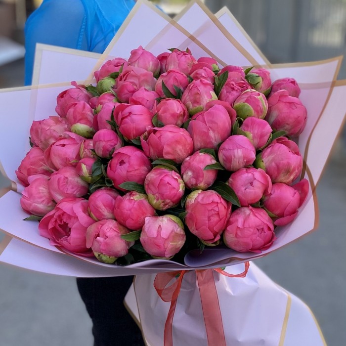 Букет из 51 кораллового пиона