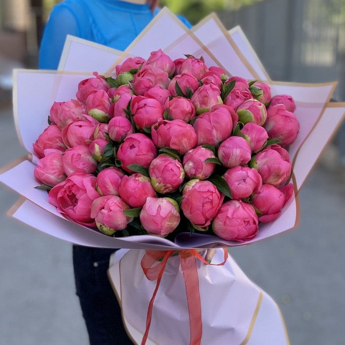 Букет из 51 кораллового пиона