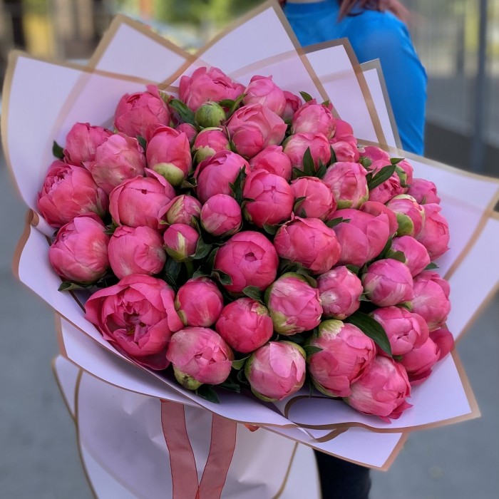 Букет из 51 кораллового пиона