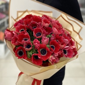 Букет из 51 красного анемона