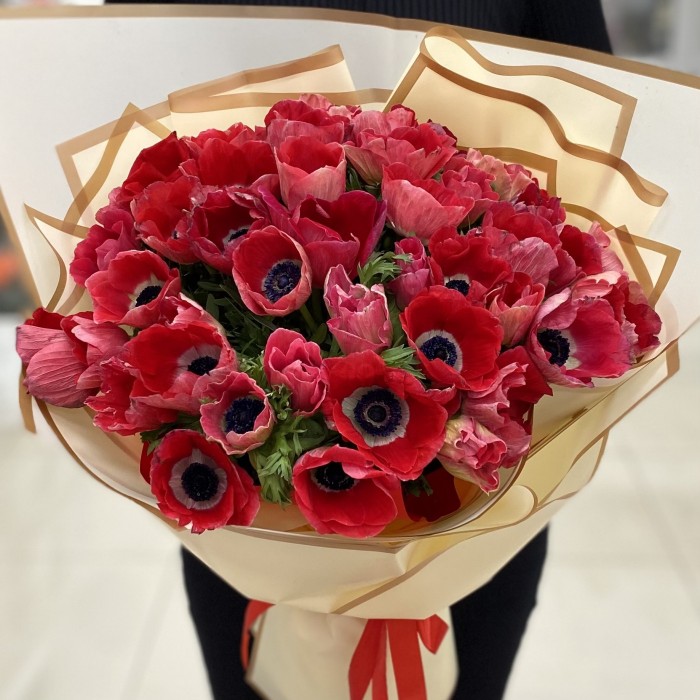 Букет из 51 красного анемона