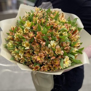 Букет из 51 оранжевой альстромерии