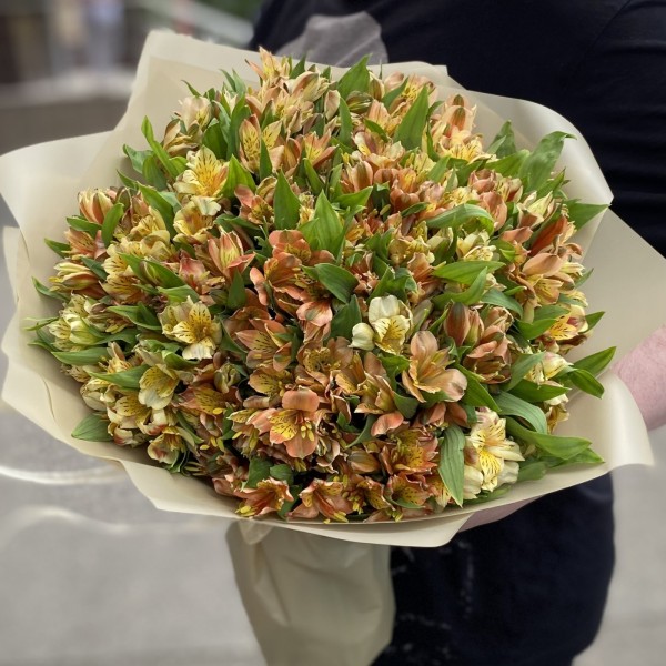 Букет из 51 оранжевой альстромерии