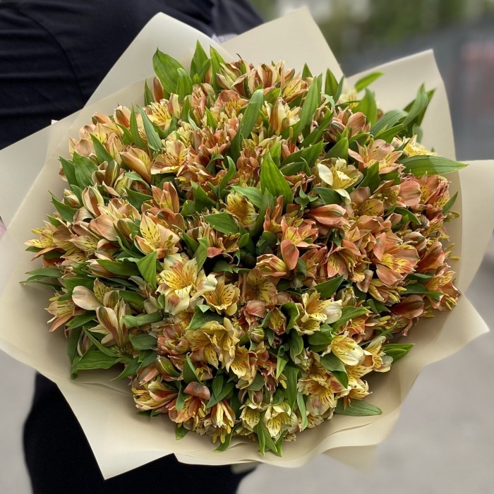 Букет из 51 оранжевой альстромерии