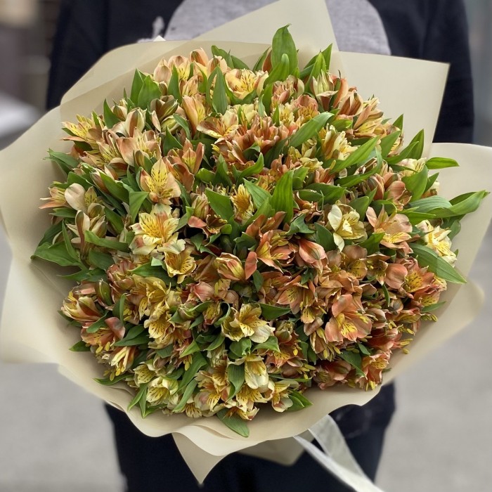 Букет из 51 оранжевой альстромерии