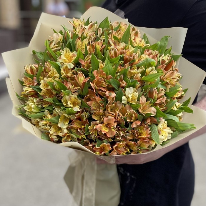 Букет из 51 оранжевой альстромерии