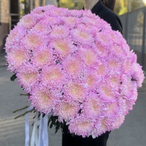Букет из 51 розовой хризантемы Минка