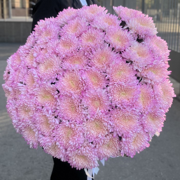 Букет из 51 розовой хризантемы Минка