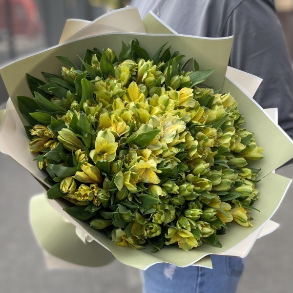 Букет из 51 желтой альстромерии