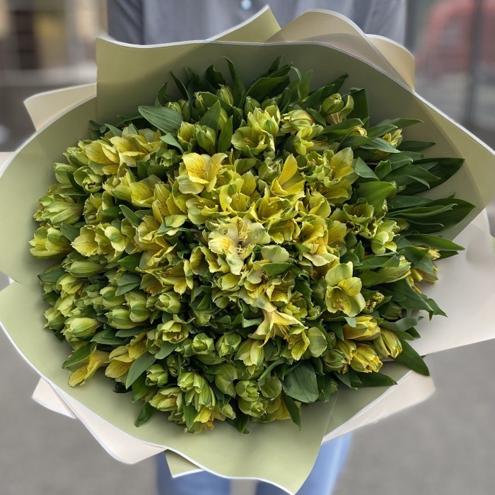 Букет из 51 желтой альстромерии