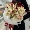 Букет из 5 амариллисов бело-красного цвета с лагурусом