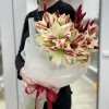 Букет из 5 амариллисов бело-красного цвета с лагурусом